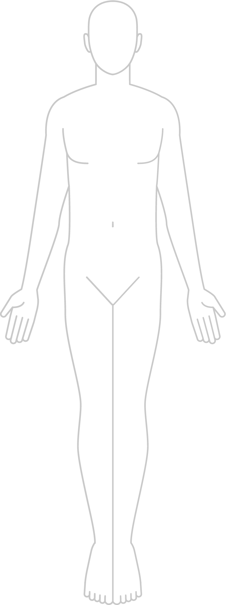 人体のイラスト